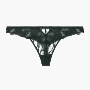 Into The Groove Tanga Forest